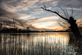 Build Resilience | Mental Toughness Partners