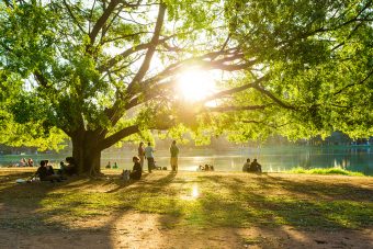 Wellbeing | Mental Toughness Partners