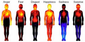 Happiness Lights Up Your Body | Mental Toughness Partners